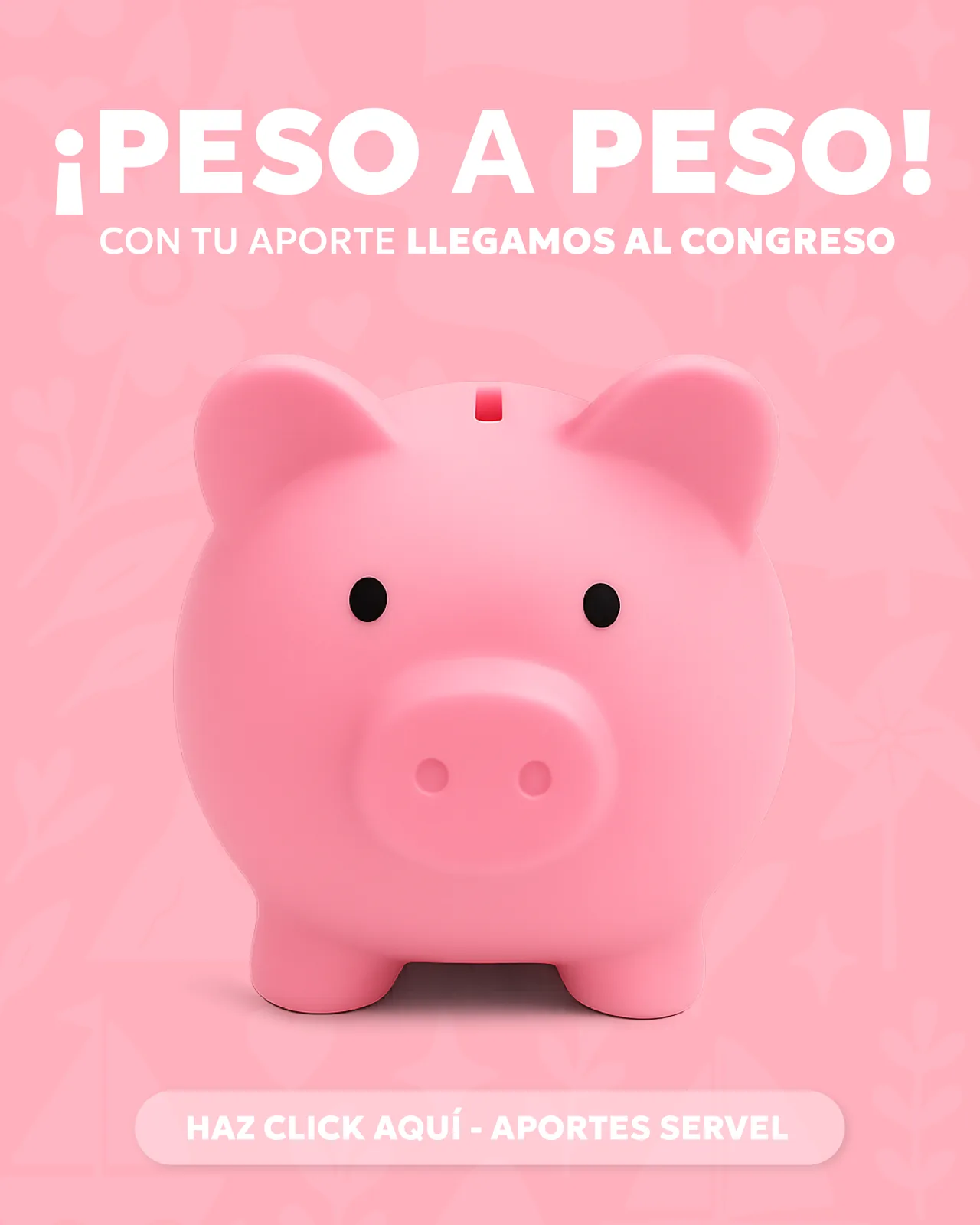 Ir a portal de aportes Servel